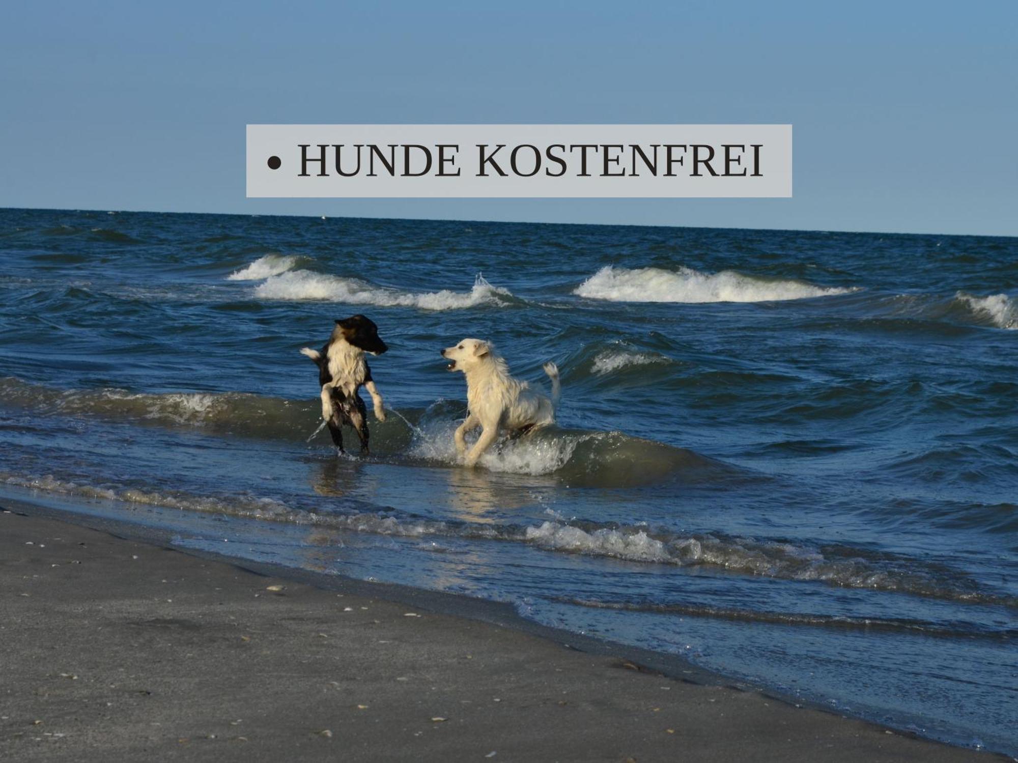 Haus Krabbe Apartments, Zentral Gelegen Im Idyllischen Nordseeort Zwischen Bremerhaven Und Cuxhaven, Hunde Kostenfrei Willkommen, Hauseigene Kostenfreie Parkplaetze Времен Экстерьер фото
